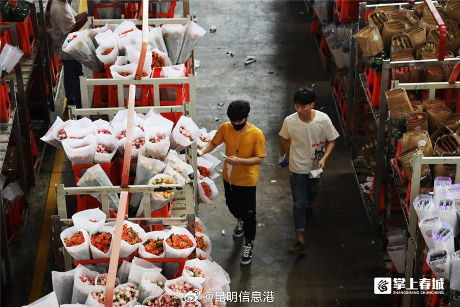 昆明信息港微博