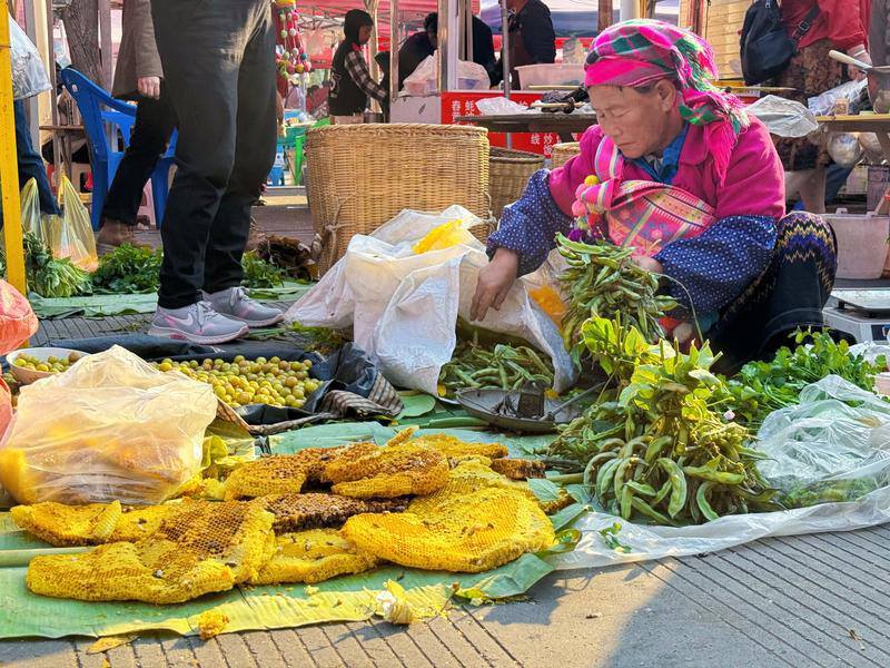 云南省文化和旅游厅