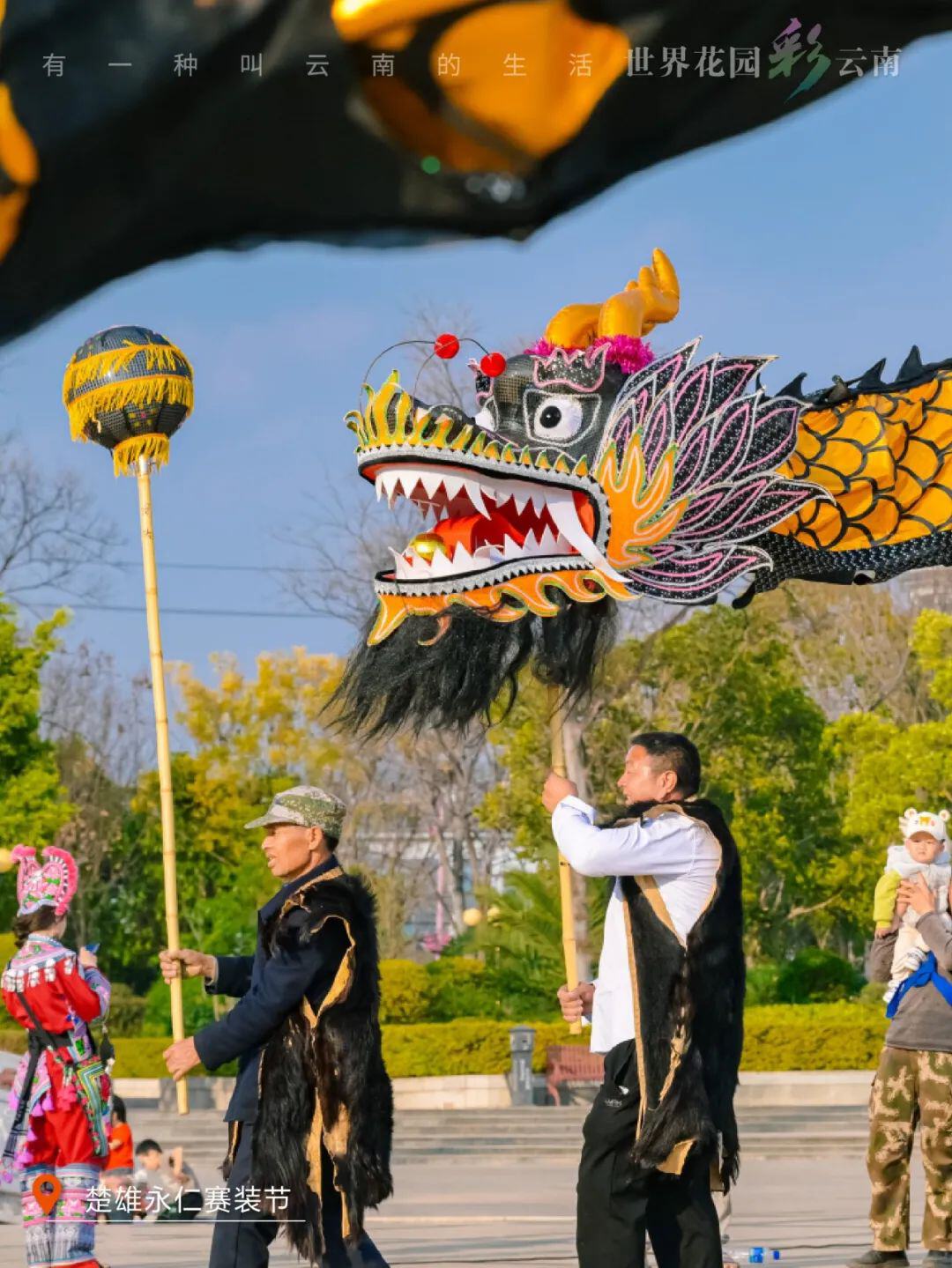 云南省文化和旅游厅