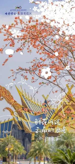 掌上春城微信