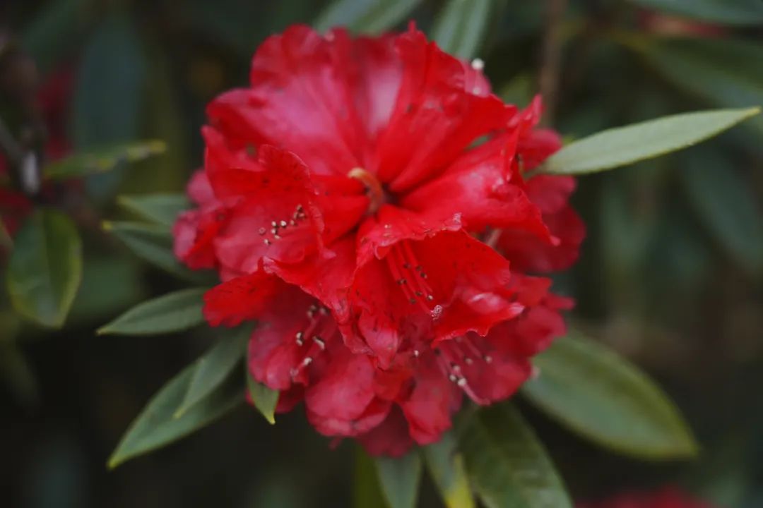 云南省文化和旅游厅