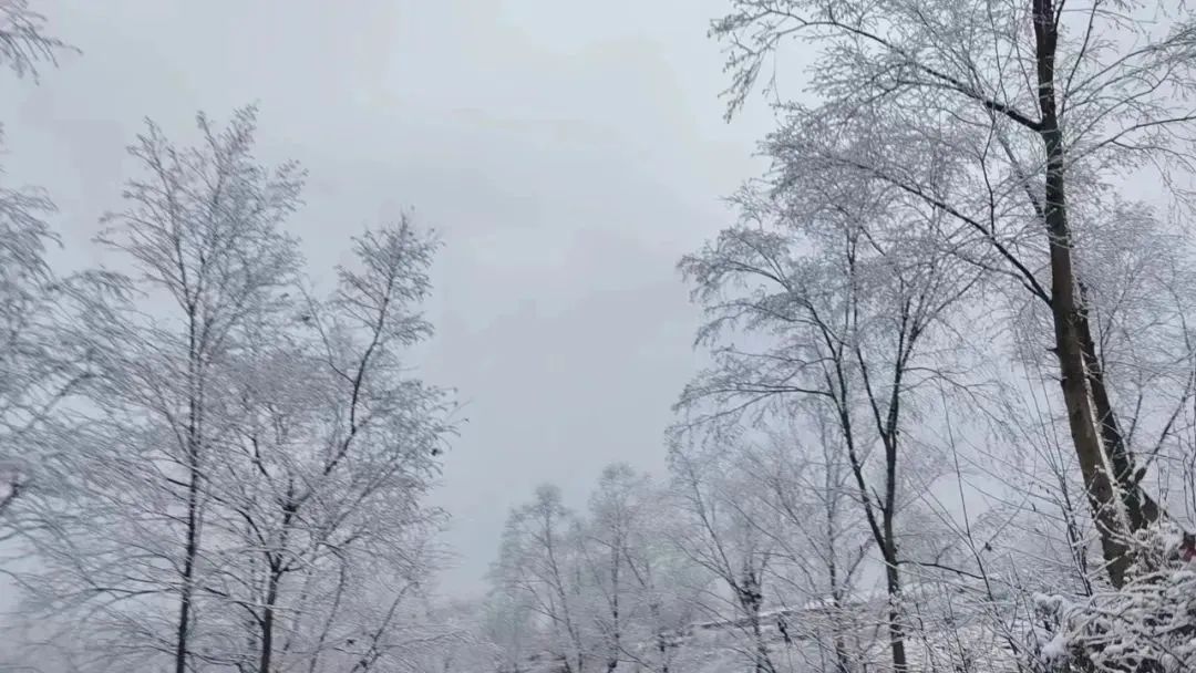昭通日报