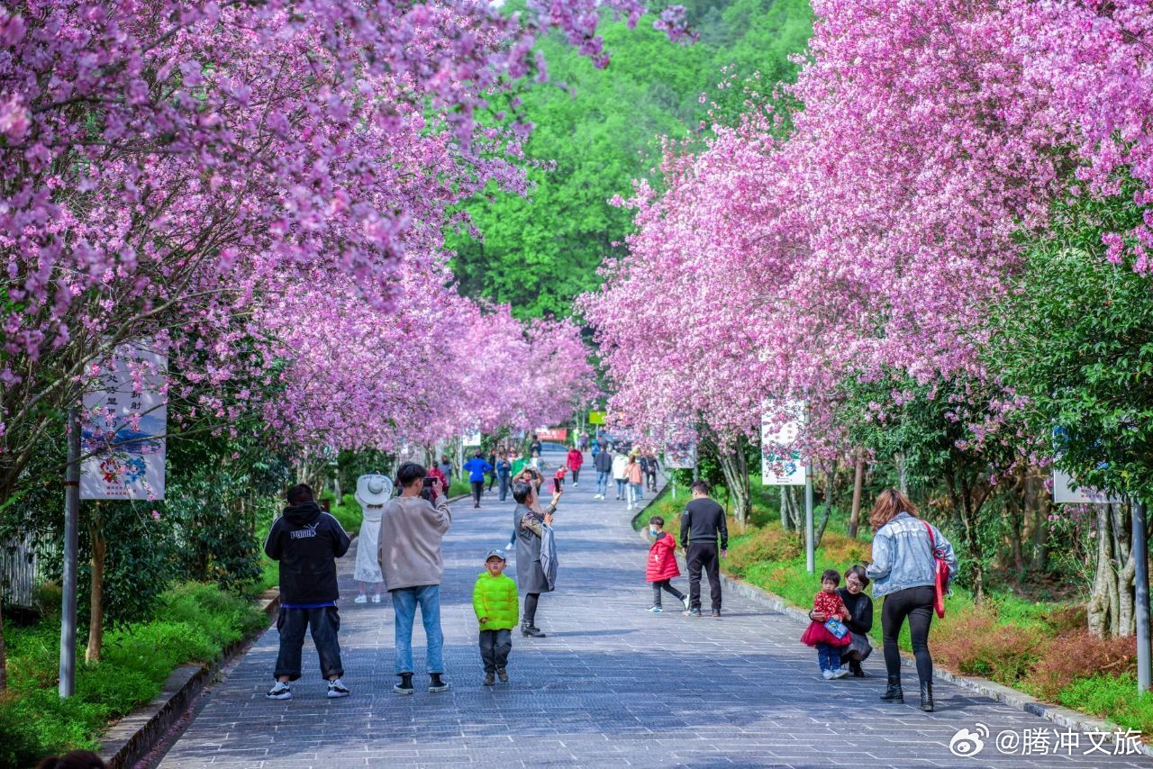 腾冲文旅