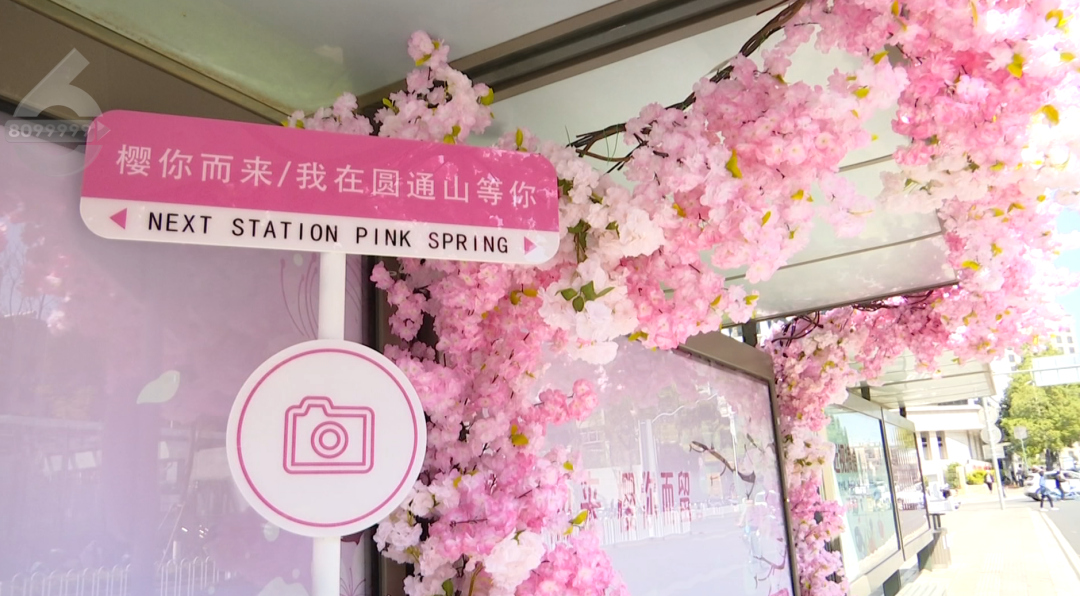 云南省文化和旅游厅