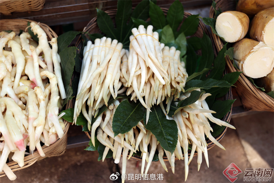 昆明信息港微博