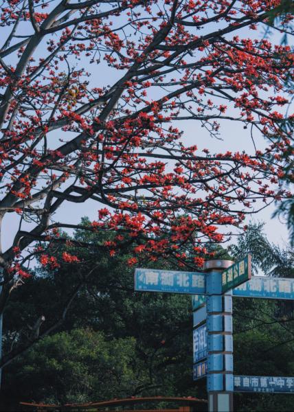 云南省文化和旅游厅