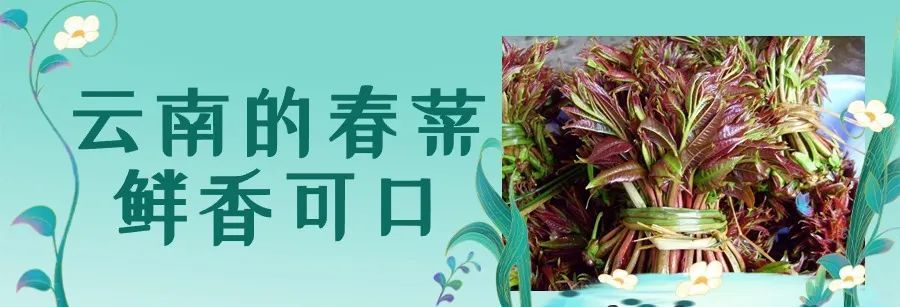 云南省文化和旅游厅