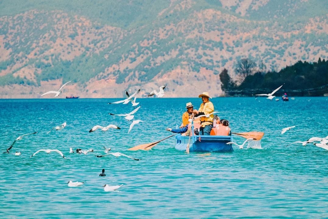 云南省文化和旅游厅