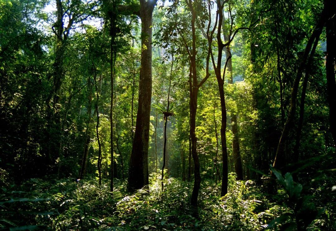 云南省文化和旅游厅