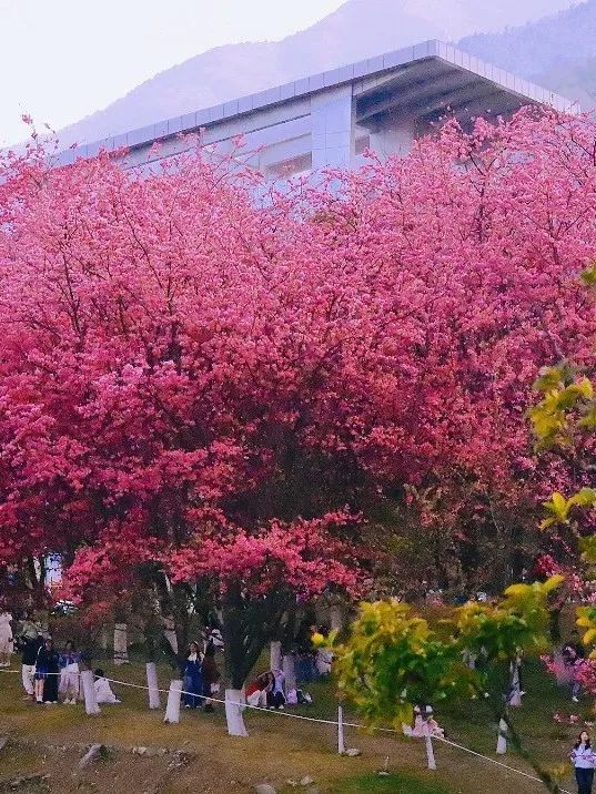 云南省文化和旅游厅