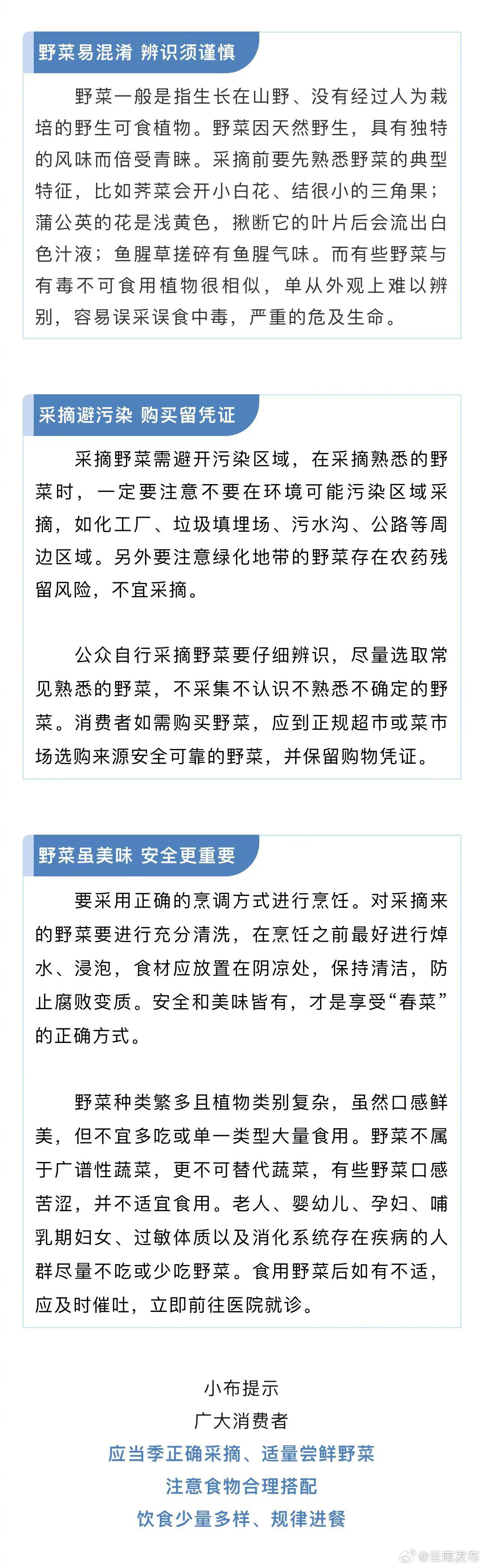 @云南人 食用野菜尝鲜，这些要注意→