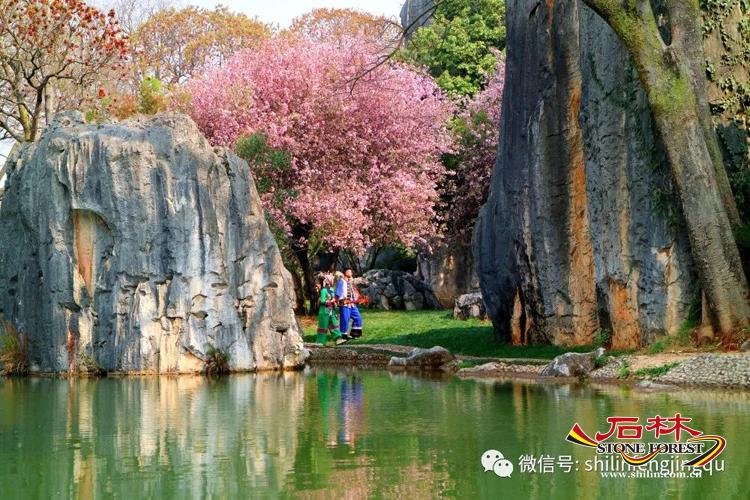 石林旅游网