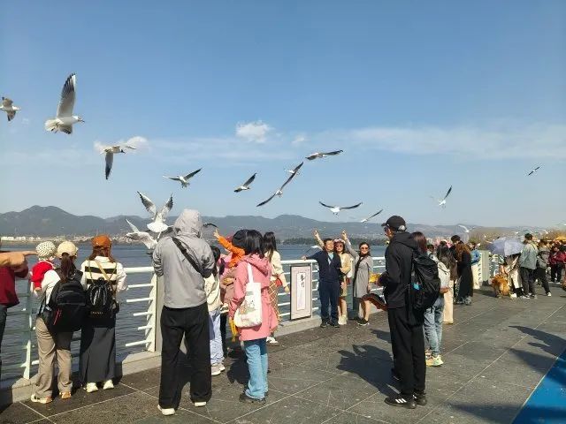 掌上春城微信