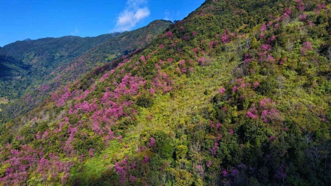 云南省文化和旅游厅