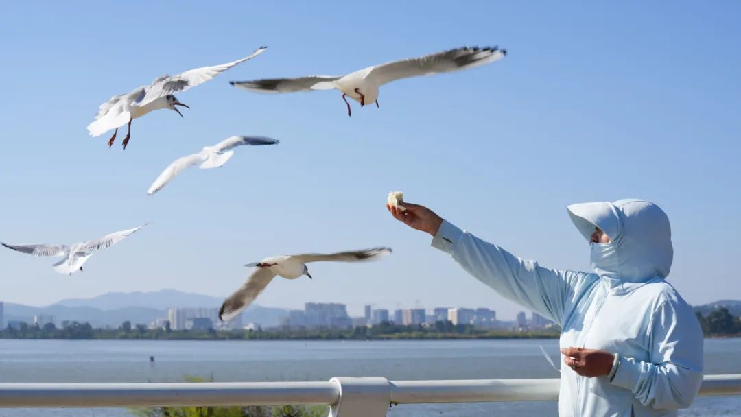 晋宁诗意的栖居地