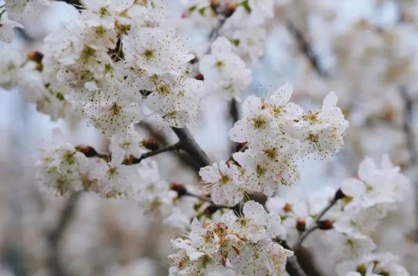 云南省文化和旅游厅