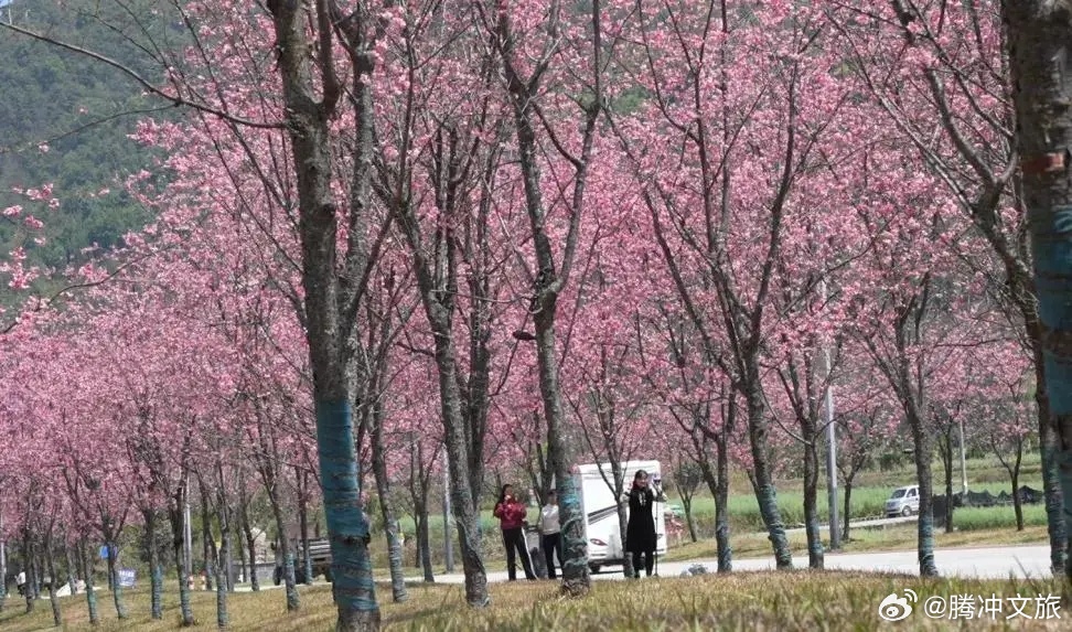 腾冲文旅