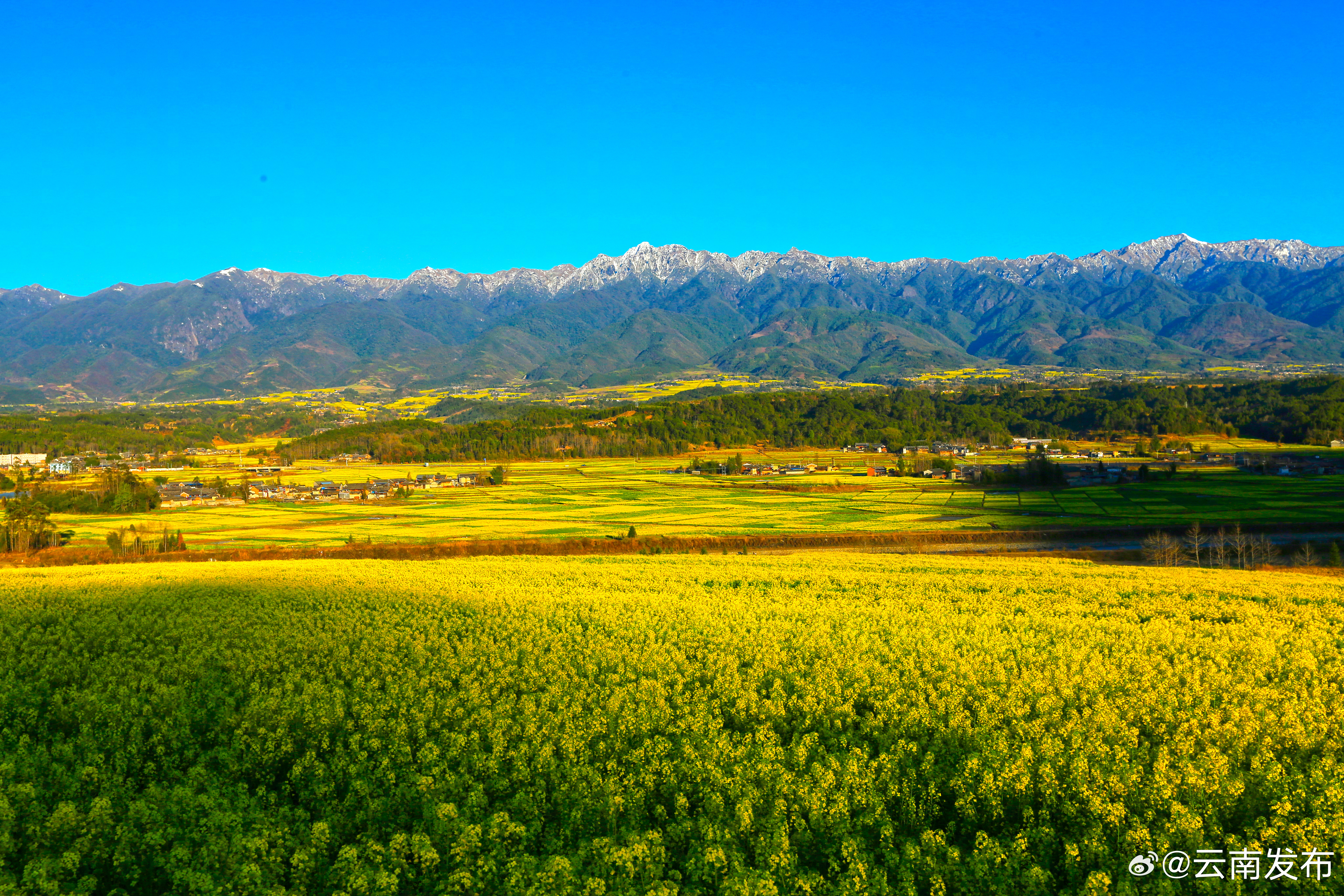 云南发布
