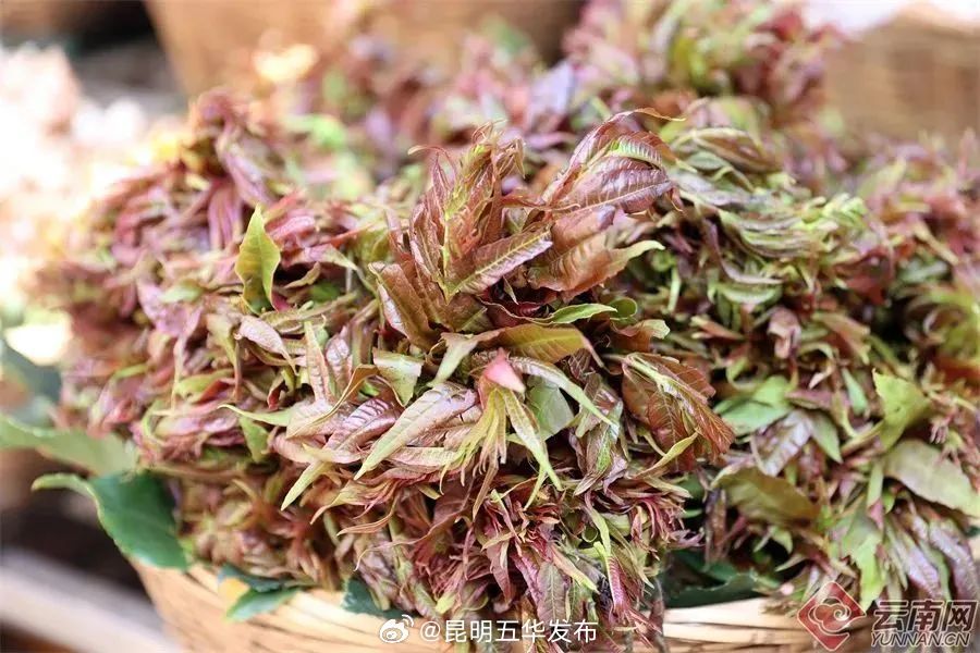 昆明五华发布