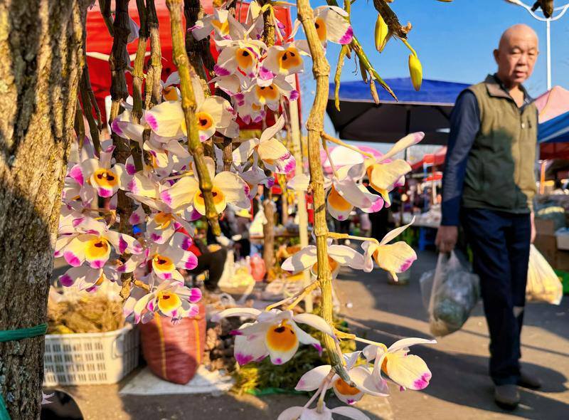 云南省文化和旅游厅