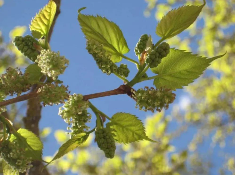 云南省文化和旅游厅