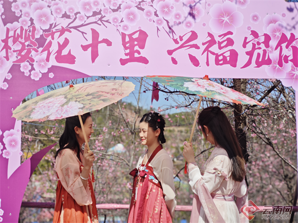 云南省文化和旅游厅