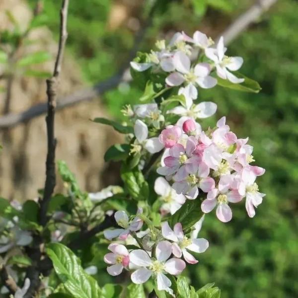 云南省文化和旅游厅