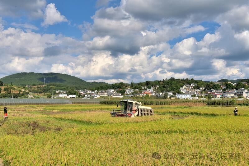 云南省人民政府网