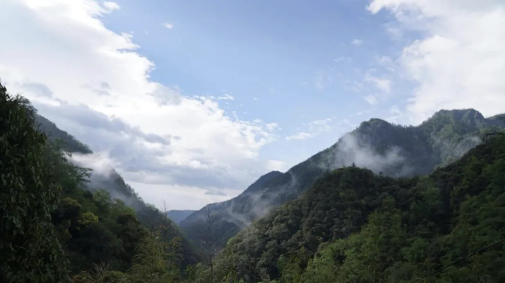 云南省文化和旅游厅