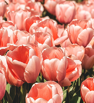 昆明市第一人民医院