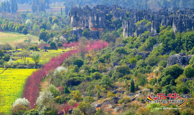 石林旅游网