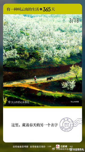 有一种叫云南的生活之365天丨3月18日 文山坝心