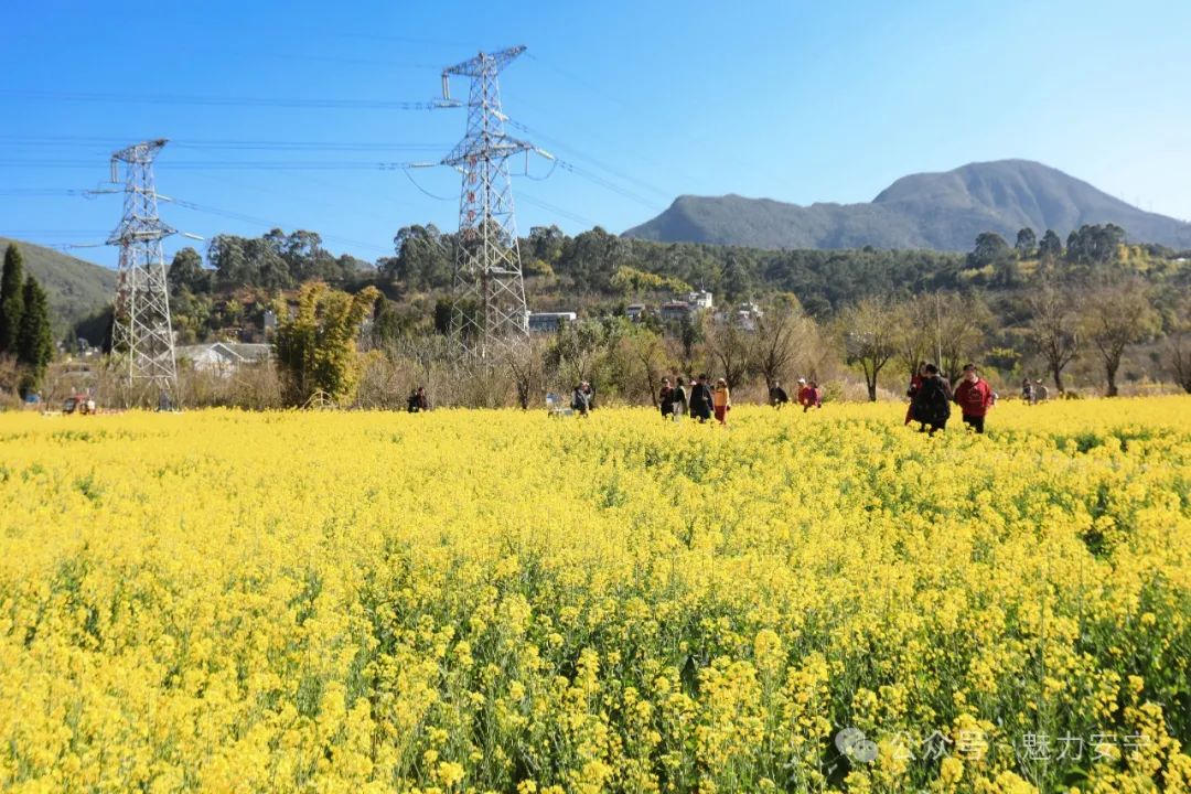昆明文旅