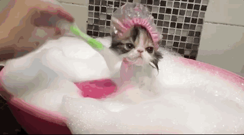 运动后不洗澡后背易长痘 