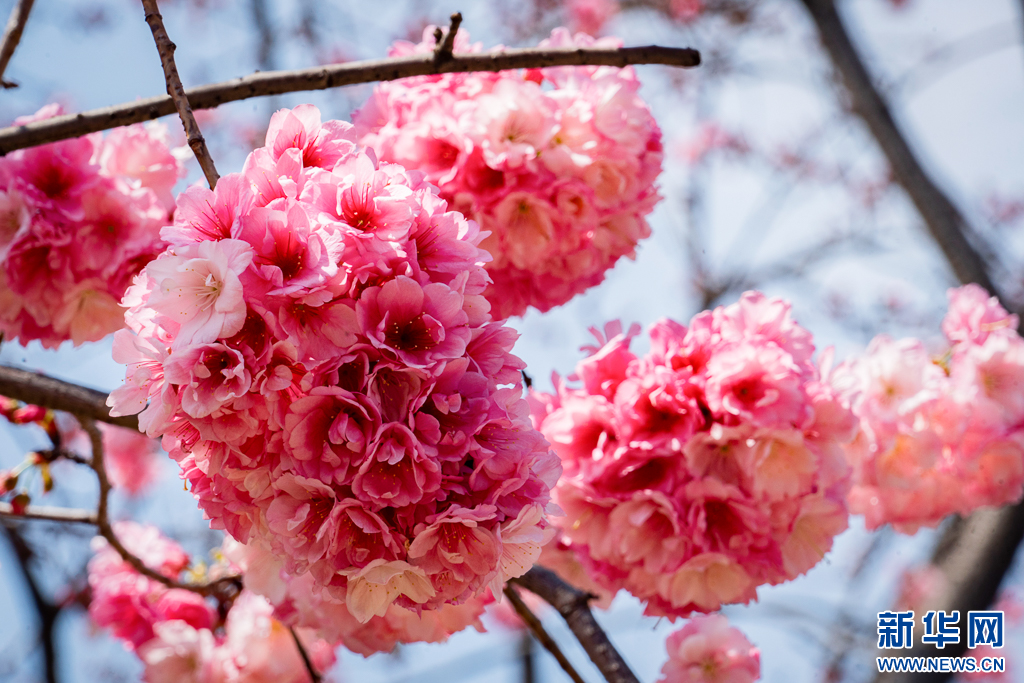 云南省文化和旅游厅