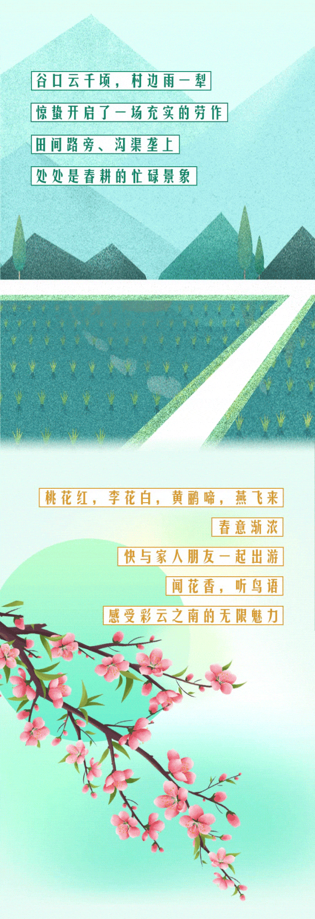 云南省人民政府网