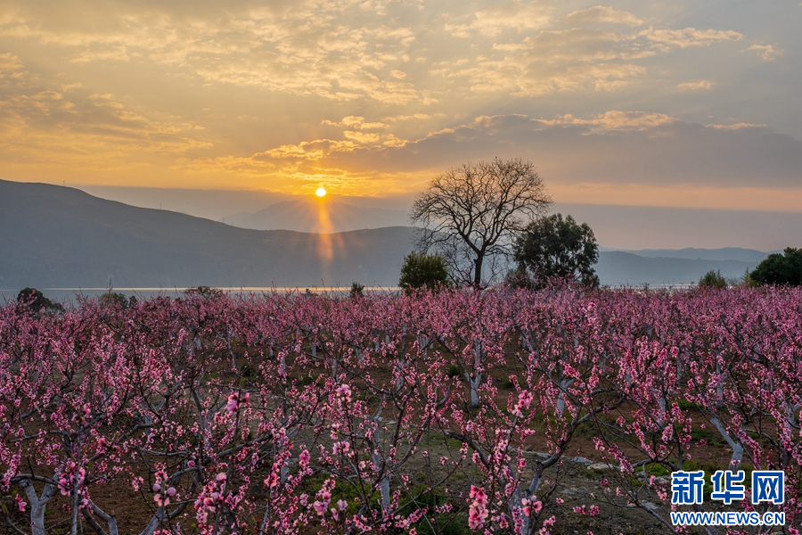 云南省文化和旅游厅