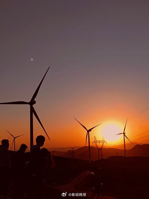 春城晚报