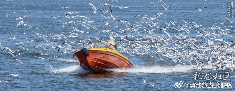 昆明滇池国家旅游度假区第二届文创大赛作品