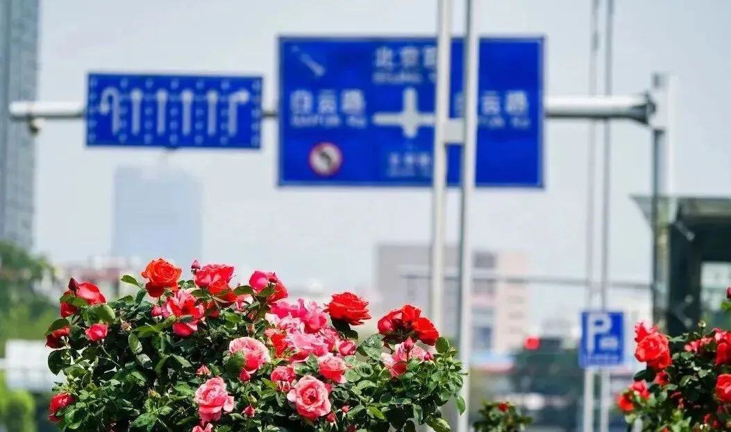 云南省文化和旅游厅