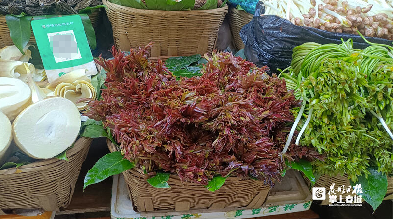 昆明信息港/cnkmxxg