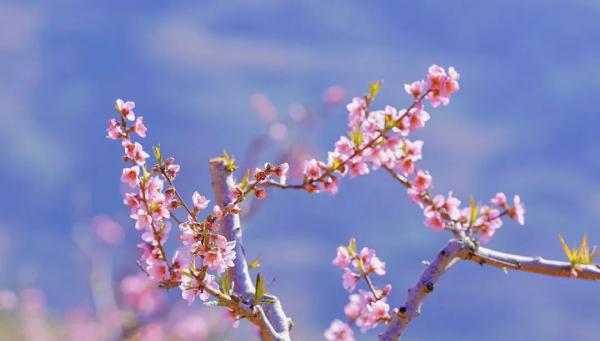 云南省文化和旅游厅