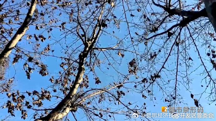 大风天气突出！局地降温有雨雪！本周云南天气→