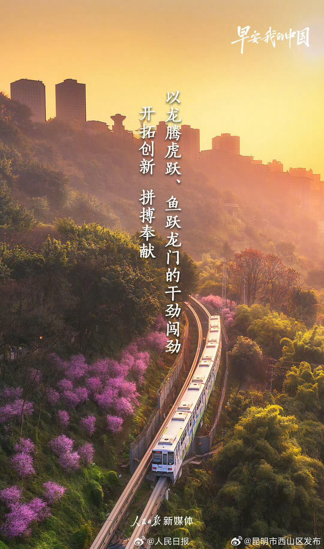 昆明市西山区发布