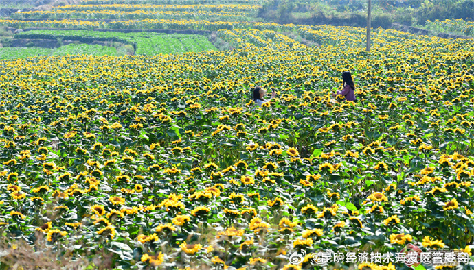 昆明经济技术开发区管委会
