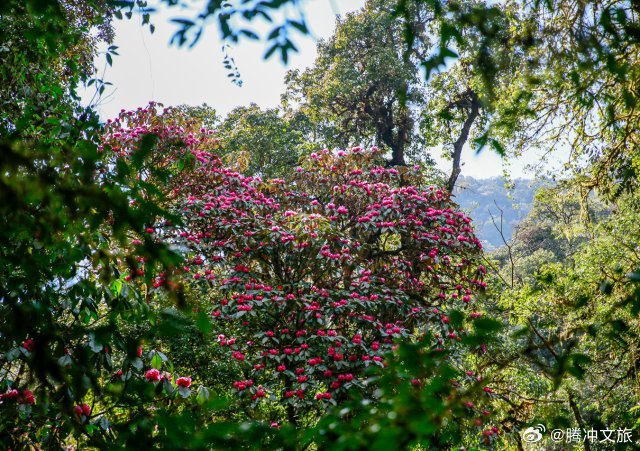腾冲文旅