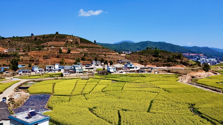 云南省文化和旅游厅