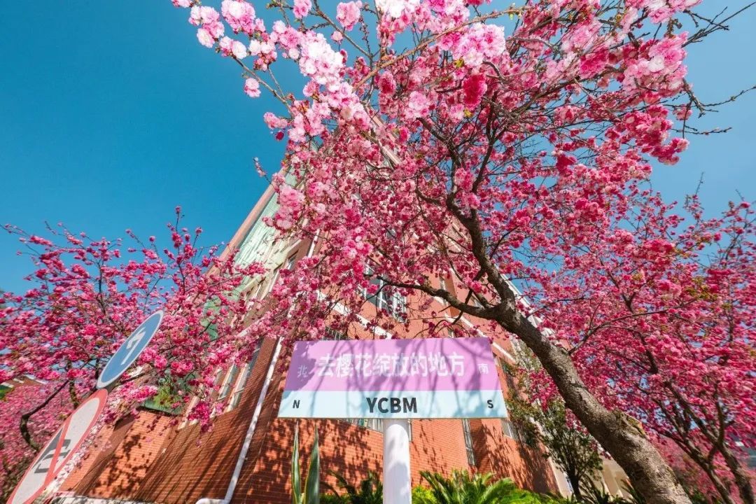 云南省文化和旅游厅