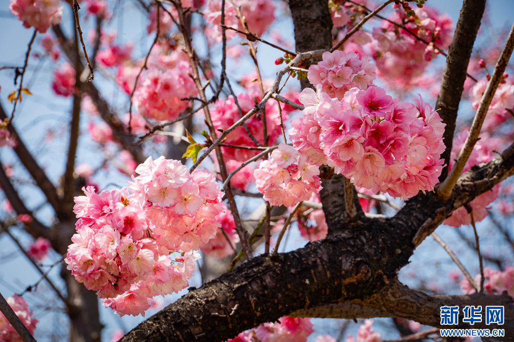 云南省文化和旅游厅