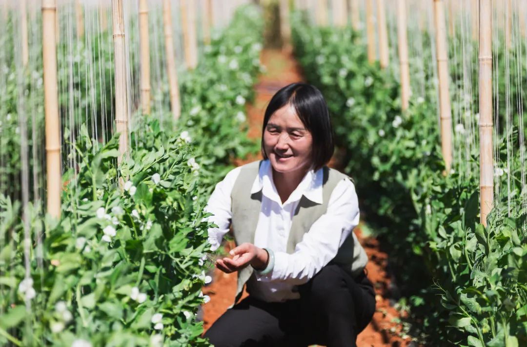 晋宁诗意的栖居地